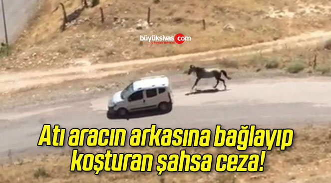 Atı aracın arkasına bağlayıp koşturan şahsa ceza!