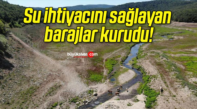 Su ihtiyacını sağlayan barajlar kurudu!