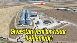 Sivas’tan yeni bir rekor bekleniyor!