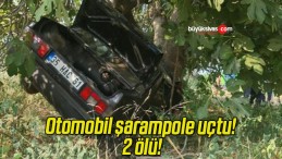 Otomobil şarampole uçtu! 2 ölü!