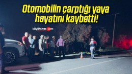 Otomobilin çarptığı yaya hayatını kaybetti!