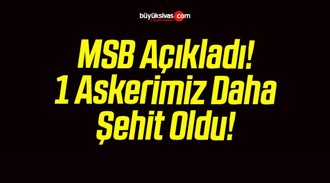 MSB Açıkladı! 1 Askerimiz Daha Şehit Oldu!