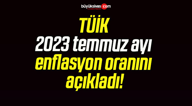 TÜİK 2023 temmuz ayı enflasyon oranını açıkladı!