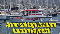 Arının soktuğu iş adamı hayatını kaybetti!