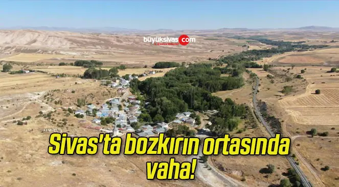 Sivas’ta bozkırın ortasında vaha!