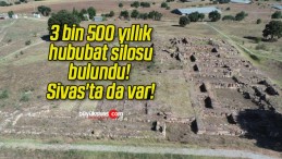 3 bin 500 yıllık hububat silosu bulundu! Sivas’ta da var!