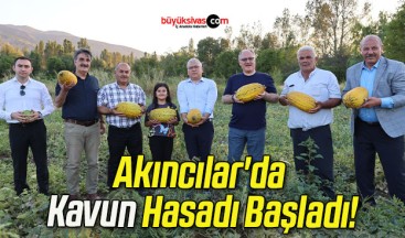 Akıncılar’da Kavun Hasadı Başladı!