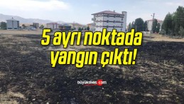 5 ayrı noktada yangın çıktı!