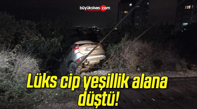 Lüks cip yeşillik alana düştü!