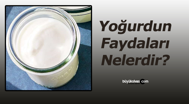 Yoğurdun Faydaları Nelerdir?