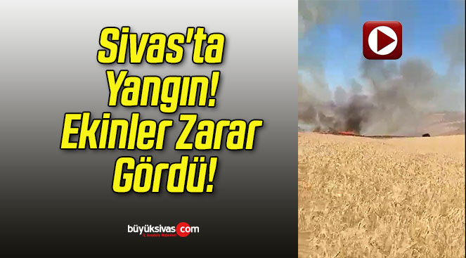 Sivas’ta Yangın! Ekinler Zarar Gördü!