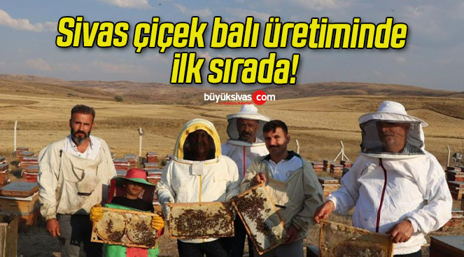 Sivas çiçek balı üretiminde ilk sırada!