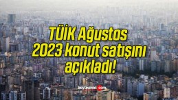 TÜİK Ağustos 2023 konut satışını açıkladı!