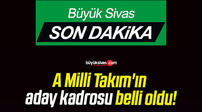 A Milli Takım’ın aday kadrosu belli oldu!