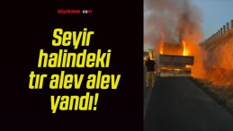 Seyir halindeki tır alev alev yandı!