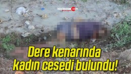 Dere kenarında kadın cesedi bulundu!