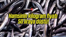 Hamsinin kilogram fiyatı 50 liraya düştü!