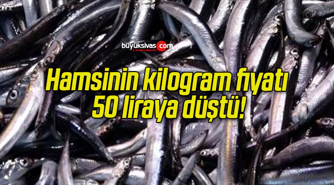 Hamsinin kilogram fiyatı 50 liraya düştü!