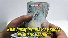 KKM hesaplarında 8 ay sonra ilk düşüş yaşandı!