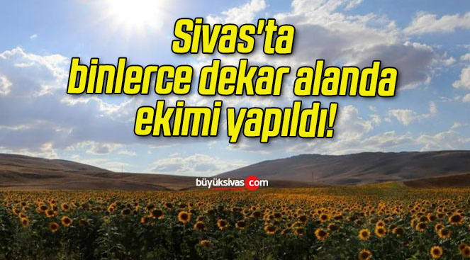 Sivas’ta binlerce dekar alanda ekimi yapıldı!