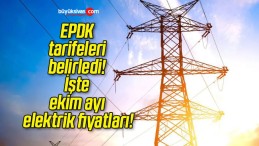 EPDK tarifeleri belirledi! İşte ekim ayı elektrik fiyatları!