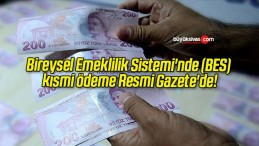 Bireysel Emeklilik Sistemi’nde (BES) kısmi ödeme Resmi Gazete’de!