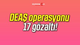 DEAŞ operasyonu 17 gözaltı!