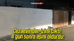 Cezaevinden izinli çıktı! 4 gün sonra eşini öldürdü!