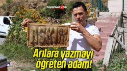 Arılara yazmayı öğreten adam!