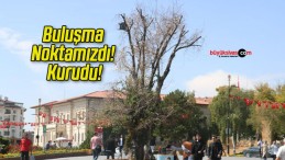 Buluşma Noktamızdı! Kurudu!