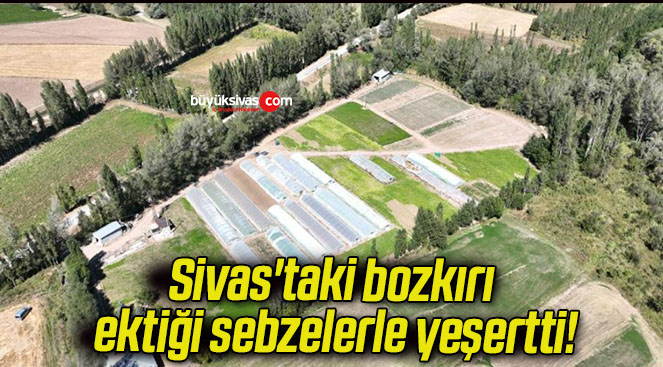 Sivas’taki bozkırı ektiği sebzelerle yeşertti!