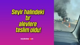 Seyir halindeki tır alevlere teslim oldu!