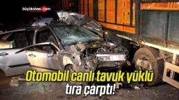 Otomobil canlı tavuk yüklü tıra çarptı!