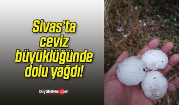 Sivas’ta ceviz büyüklüğünde dolu yağdı!