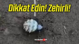 Dikkat Edin! Zehirli!