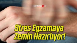 Stres Egzamaya Zemin Hazırlıyor!