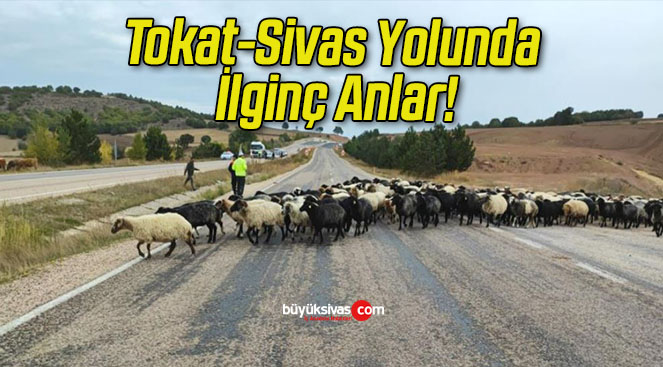 Tokat-Sivas Yolunda İlginç Anlar!