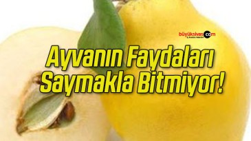 Ayvanın Faydaları Saymakla Bitmiyor!