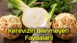 Kerevizin Bilinmeyen Faydaları!