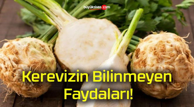 Kerevizin Bilinmeyen Faydaları!