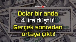 Dolar bir anda 4 lira düştü! Gerçek sonradan ortaya çıktı!