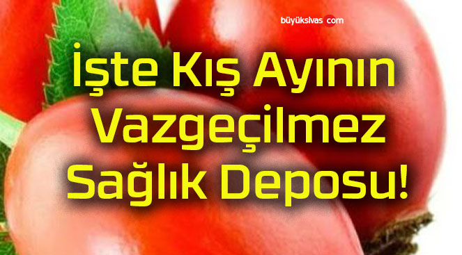 İşte Kış Ayının Vazgeçilmez Sağlık Deposu! 