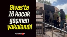 Sivas’ta 16 kaçak göçmen yakalandı!