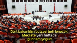 Dört bakanlığın bütçesi belirlenecek! Mecliste yeni haftada gündem yoğun!