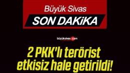 2 PKK’lı terörist etkisiz hale getirildi!