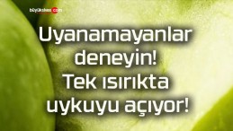 Uyanamayanlar deneyin! Tek ısırıkta uykuyu açıyor!