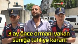 3 ay önce ormanı yakan sanığa tahliye kararı!