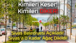 Sivas Belediyesi Açıkladı! Sivas’a O Kadar Ağaç Dikildi!