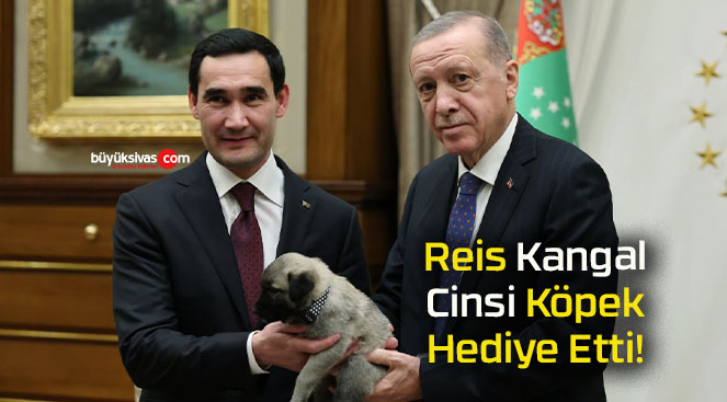 Reis Kangal Cinsi Köpek Hediye Etti!