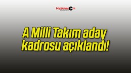 A Milli Takım aday kadrosu açıklandı!